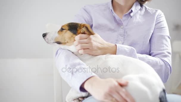 Žena drží svého psa — Stock video