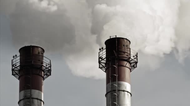 工場の煙突から黒い煙の流れ — ストック動画