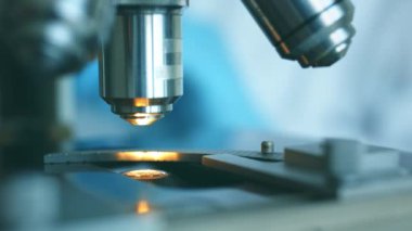 Yakın çekim shot mikroskop