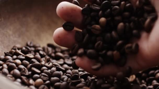 Lento tiro em movimento de grãos de café — Vídeo de Stock