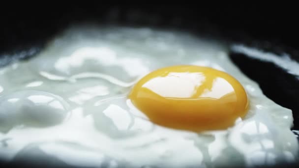 Яйце на гарячій сковороді — стокове відео