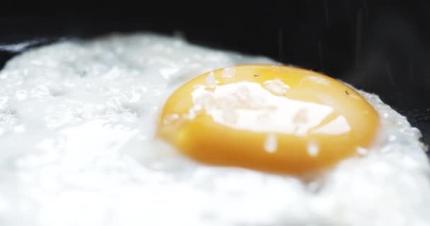 Œuf sur poêle chaude 