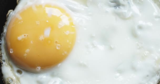 Яйцо на горячей сковороде — стоковое видео