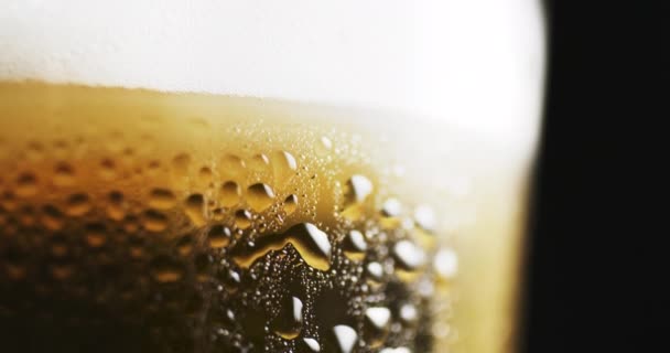 Vernebeltes Glas mit kaltem, leichtem Bier — Stockvideo