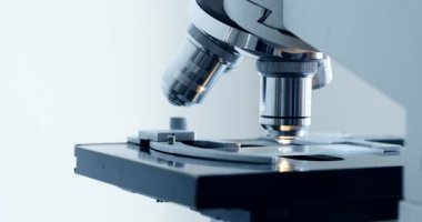 Test örneği laboratuvar mikroskop altında incelenmesi.