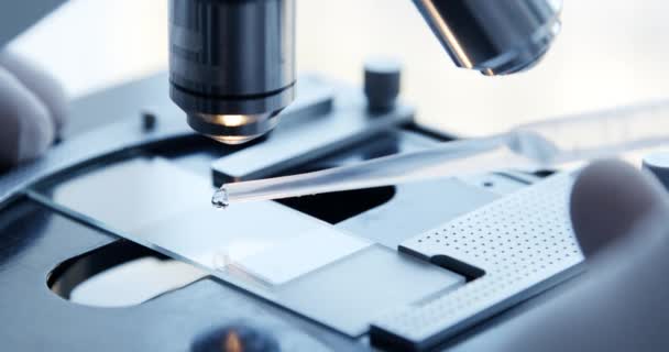 Análise da amostra de ensaio ao microscópio em laboratório . — Vídeo de Stock