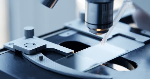 실험실에서 현미경 테스트 샘플의 검사. — 비디오