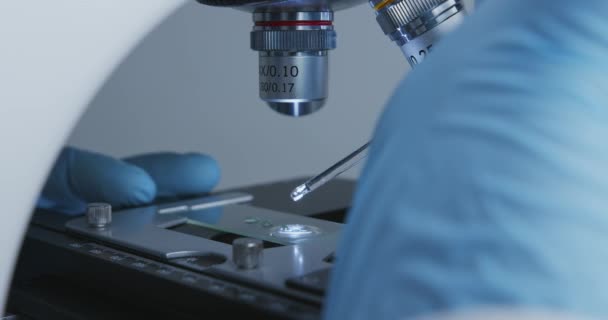 Technicien goutte à goutte une solution de la pipette sur la lame de verre pour un examen plus approfondi sous le microscope .