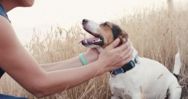 Kırpma eller köpek sevişme