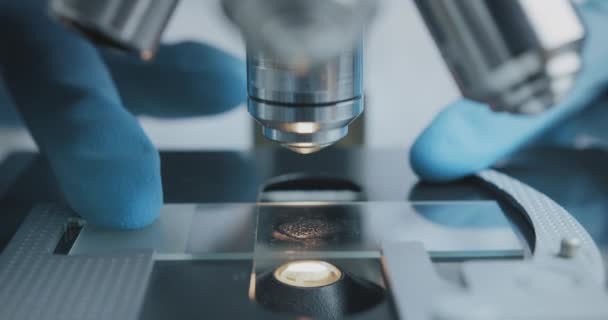 Vue rapprochée des études scientifiques examinant l'échantillon d'essai au microscope . — Video