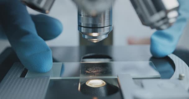 Primo piano degli studi scientifici che esaminano il campione al microscopio . — Video Stock