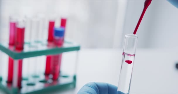 Wetenschapper met pipet analyseert rood gekleurde vloeistof om het DNA te extraheren — Stockvideo