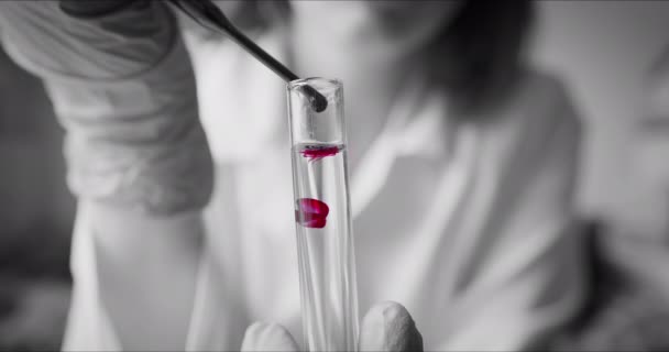 Scientist with pipette analyzes red colored liquid to extract the DNA — Stock Video