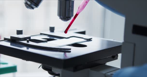Imagem de close-up da lâmina da amostra e do microscópio . — Vídeo de Stock