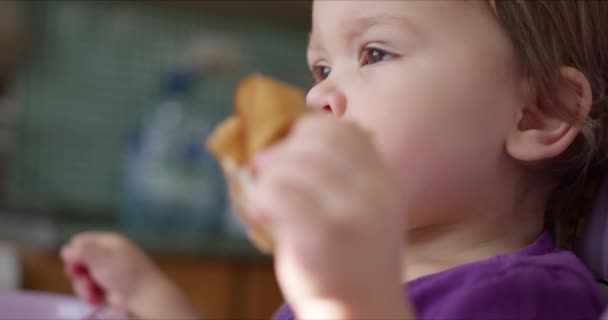 Baby eten pannenkoek met zijn handen en zitten in de kinderstoel. — Stockvideo