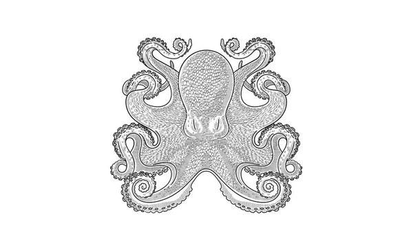Octopus sketch etching style vector design — Stock Vector