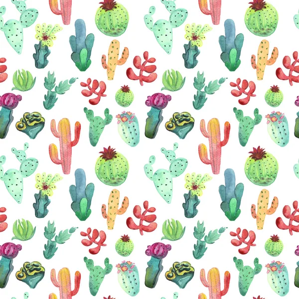Vzor bezešvé akvarel kaktus. Barevné živé kaktusy sukulenty — Stock fotografie