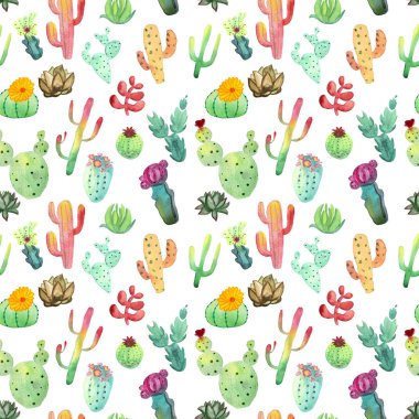 Suluboya kaktüs seamless modeli. Renkli canlı kaktüs succulents