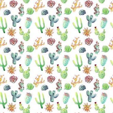 Suluboya kaktüs seamless modeli. Renkli canlı kaktüs succulents