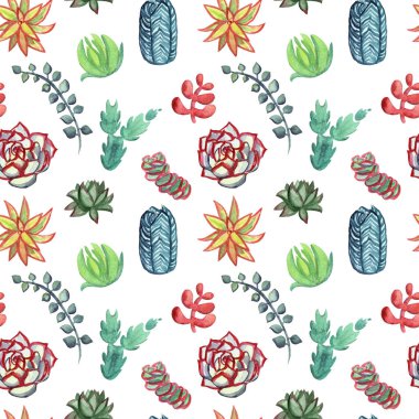 Suluboya kaktüs seamless modeli. Renkli canlı kaktüs succulents