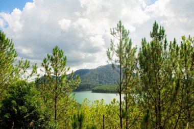 Güzel göl peyzaj Truc Lam, Da lat, Vietnam