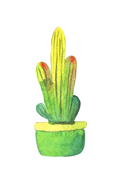 Ακουαρέλα Χειροποίητη πράσινη κάκτων σε πολύχρωμο κατσαρόλα — Φωτογραφία Αρχείου