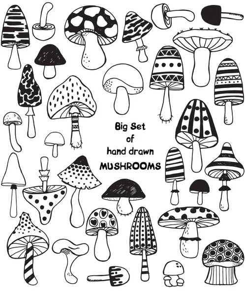 Big set of sketch hand drawn doodle mushrooms. Vector black and white illustration. Polka dot striped caps and stalks. Fresh organic food or drugs isolated on white. Truffle, chanterelle, champignon — Stock Vector