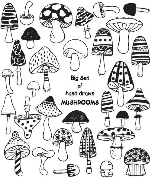 Big set of sketch hand drawn doodle mushrooms. Vector black and white illustration. Polka dot striped caps and stalks. Fresh organic food or drugs isolated on white. Truffle, chanterelle, champignon