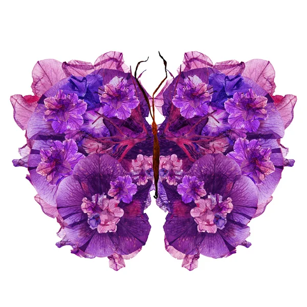 Bloemen vlinder gemaakt van gedroogde lelie bloemblaadjes ingedrukt Petunia-bloem — Stockfoto