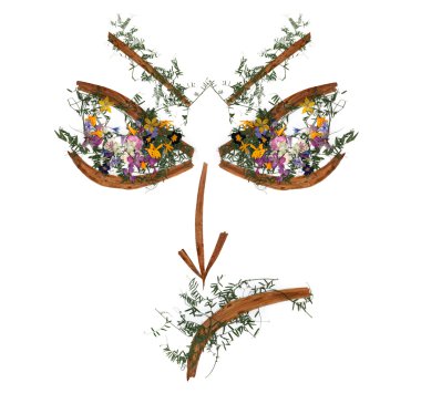 application, face of dried pressing bright flowers clipart