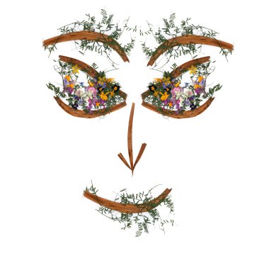 application, face of dried pressing bright flowers clipart