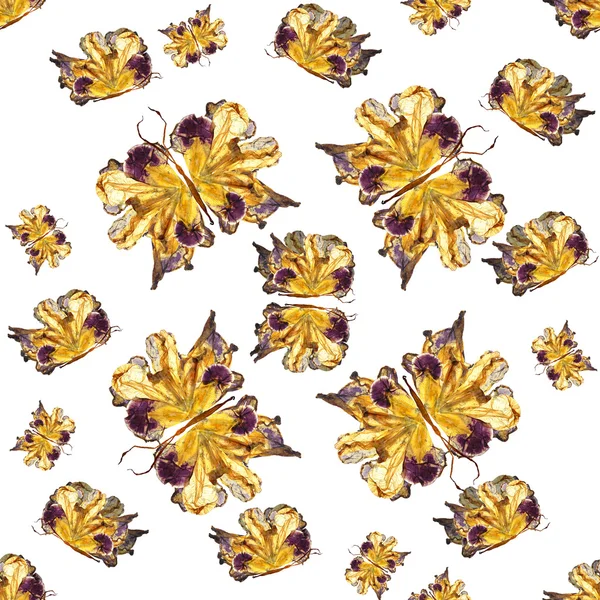 Fundo feito de borboletas de várias flores — Fotografia de Stock