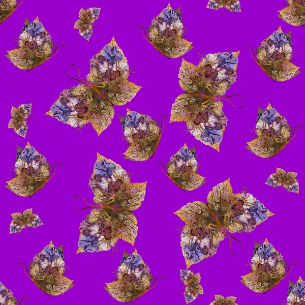 Фон из бабочек различных цветов — стоковое фото