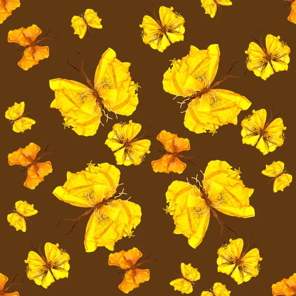 Background made of butterflies of various flowers — Stock Photo, Image