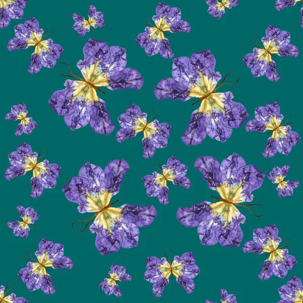 Fondo hecho de mariposas de varias flores — Foto de Stock