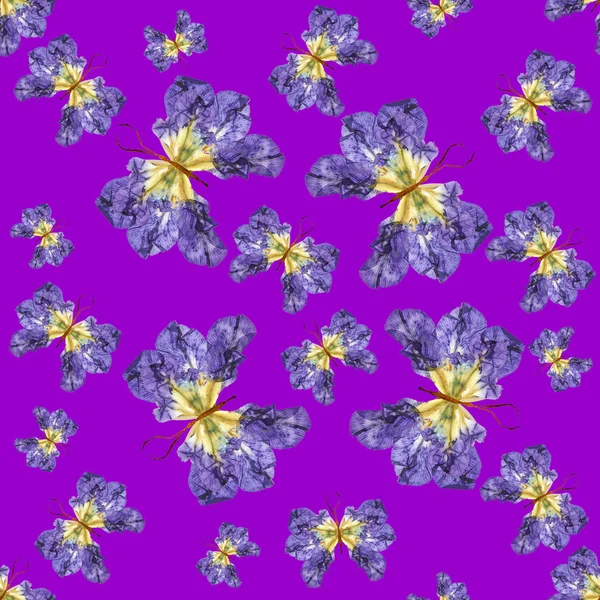Achtergrond gemaakt van vlinders van verschillende bloemen — Stockfoto