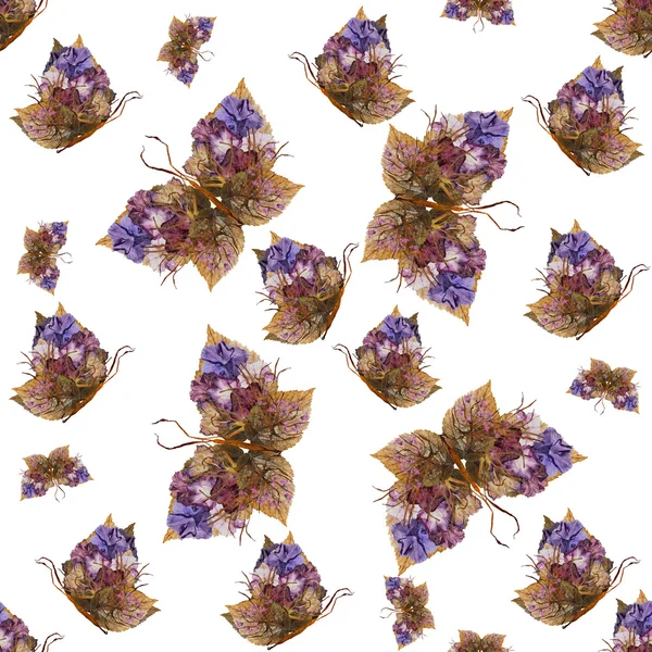 Фон из бабочек различных цветов — стоковое фото