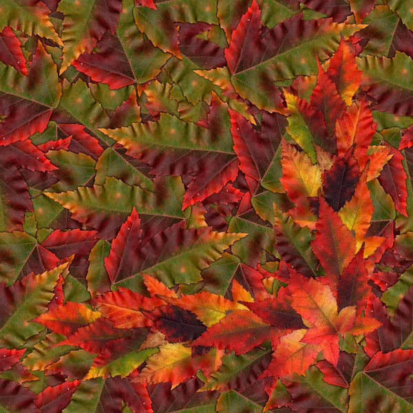Textura de patrón de fondo sin costuras de hojas de arce — Foto de Stock