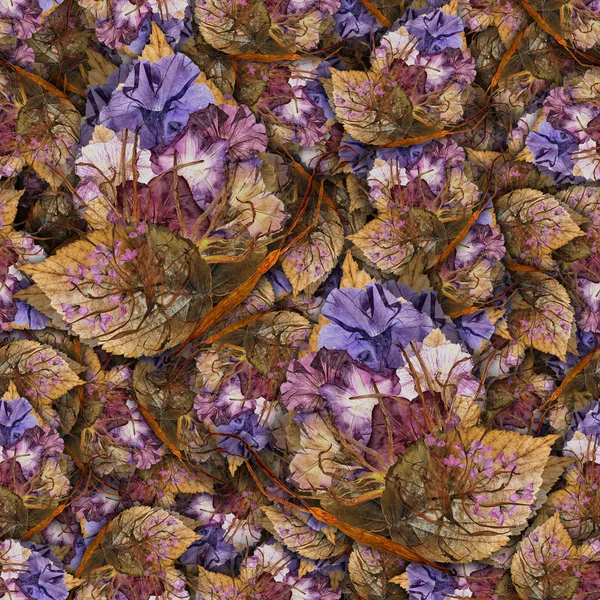 Background made of butterflies of various flowers — Stock Photo, Image