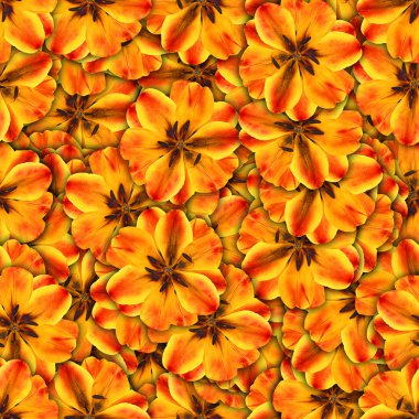 arka plan kelebekler çeşitli çiçek yaptı