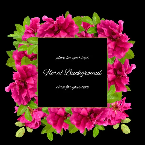 Background texture made of photo manipulation oil paint  red and pink petals briar fresh delicate flowers terry rosehips and place for text — Stock Photo, Image