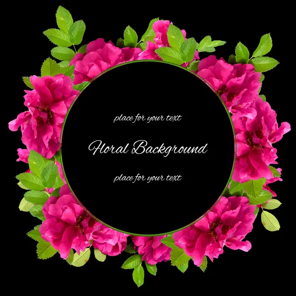 Background texture made of photo manipulation oil paint  red and pink petals briar fresh delicate flowers terry rosehips and place for text — Stock Photo, Image