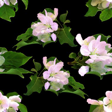 elma brunch ve yer metin için arka plan dokusu yapılmış