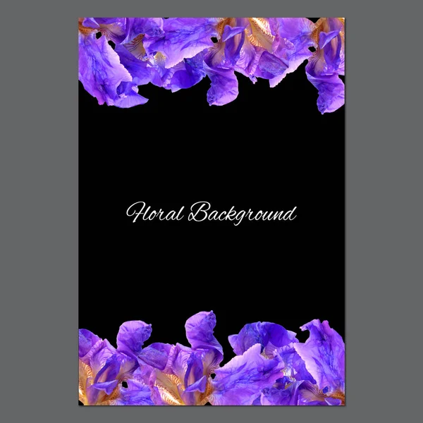 Background texture made of iris and place for text — Stock Photo, Image