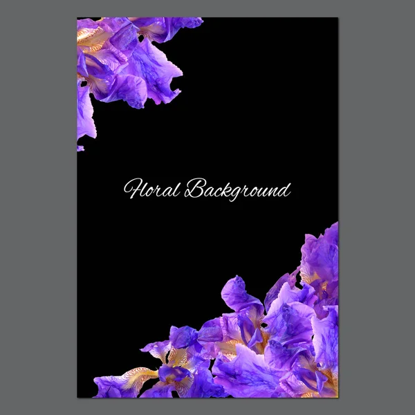 Background texture made of iris and place for text — Stock Photo, Image