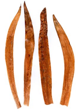 uygulama, Iris bir buket bir kafes formunda bırakır.