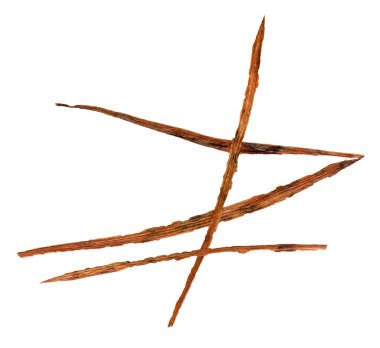 bir kafes biçiminde kuru Iris buket uygulama yaprakları