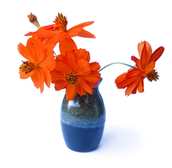 Red purslane in ceramic vase. photo manipulation oil paint illus — Stock Photo, Image