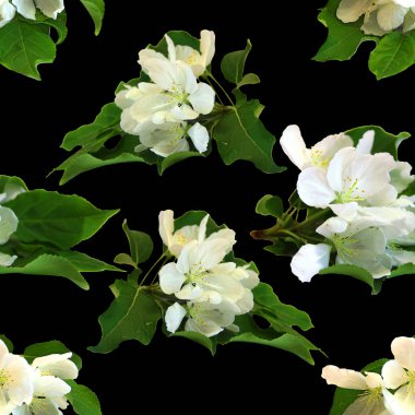 elma brunch ve yer metin için arka plan dokusu yapılmış