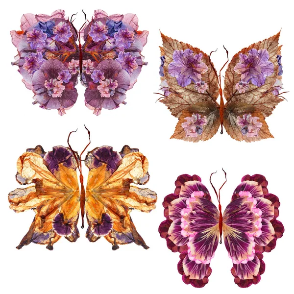 Blumen Schmetterling aus getrockneten Lilienblättern gepresste Petunienblume — Stockfoto